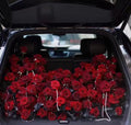 Forever Love Trunk Surprise