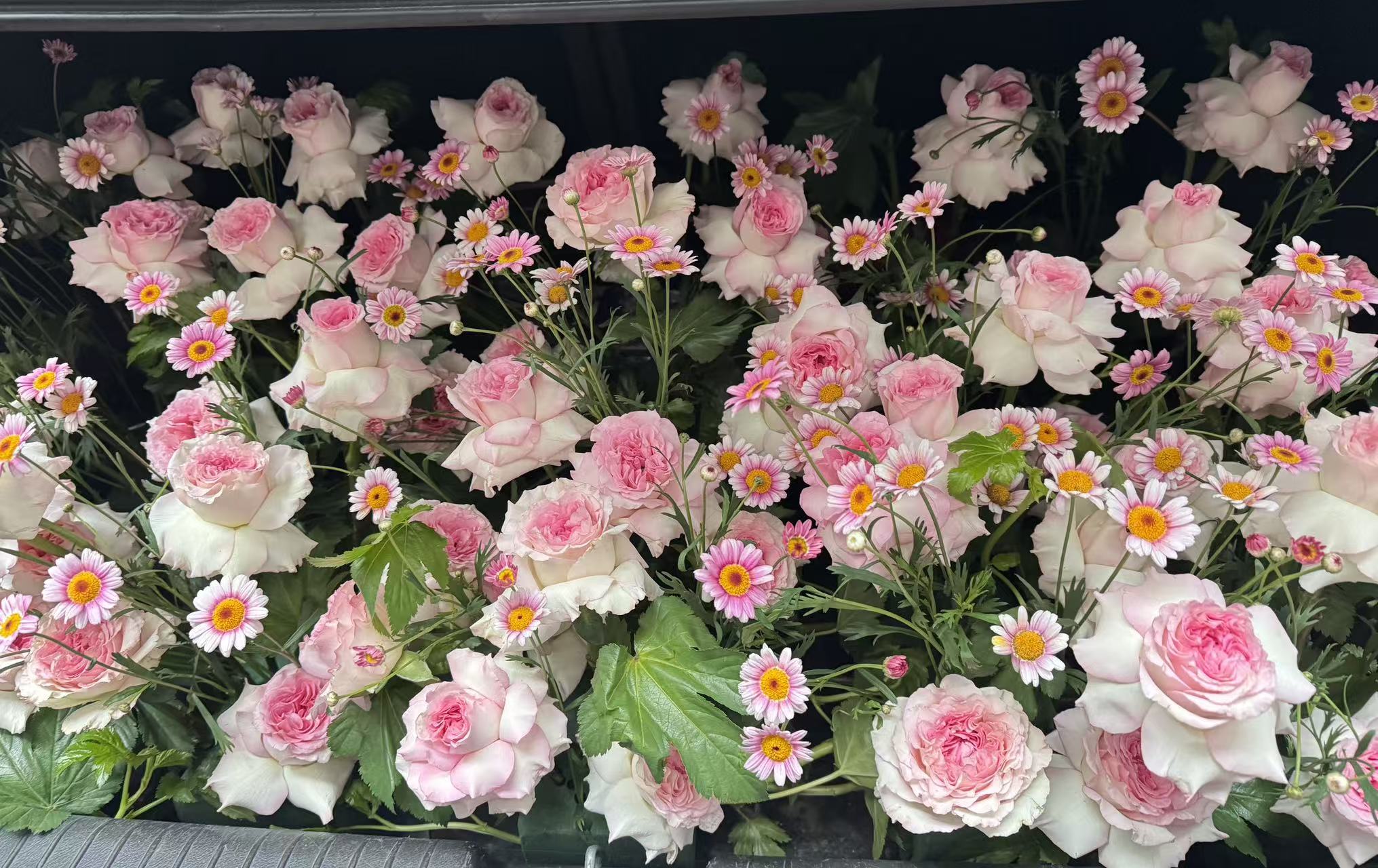 Sweet Blossom Trunk Surprise