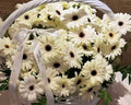 Pure Daisy Bloom Basket