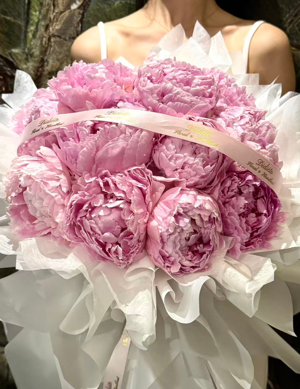 Pink Peony Reverie