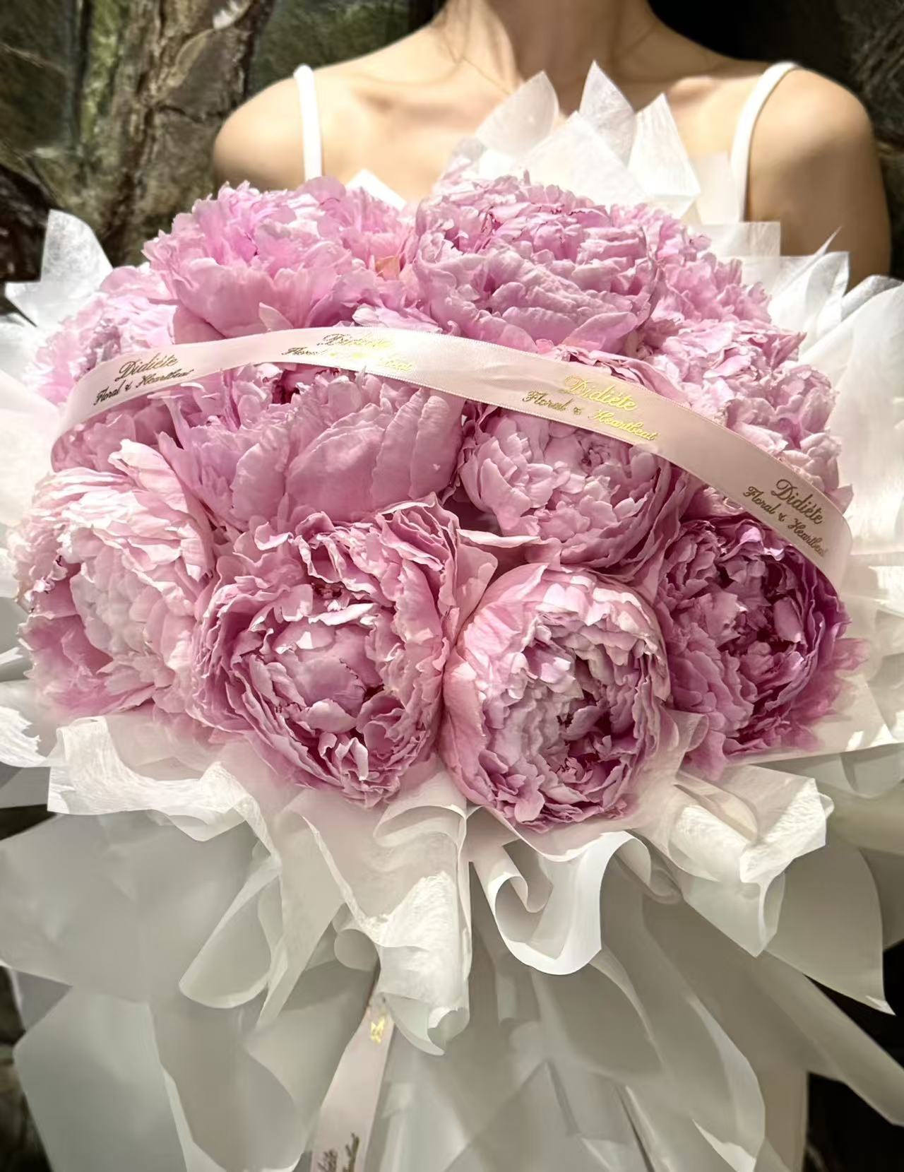 Pink Peony Reverie