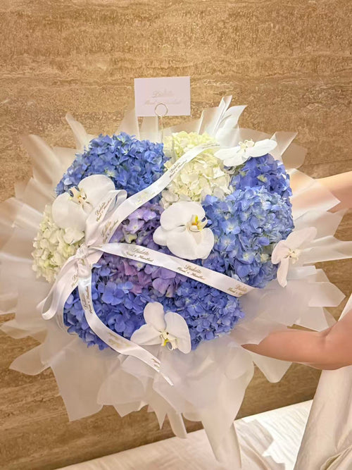 Blue Hydrangea Symphony