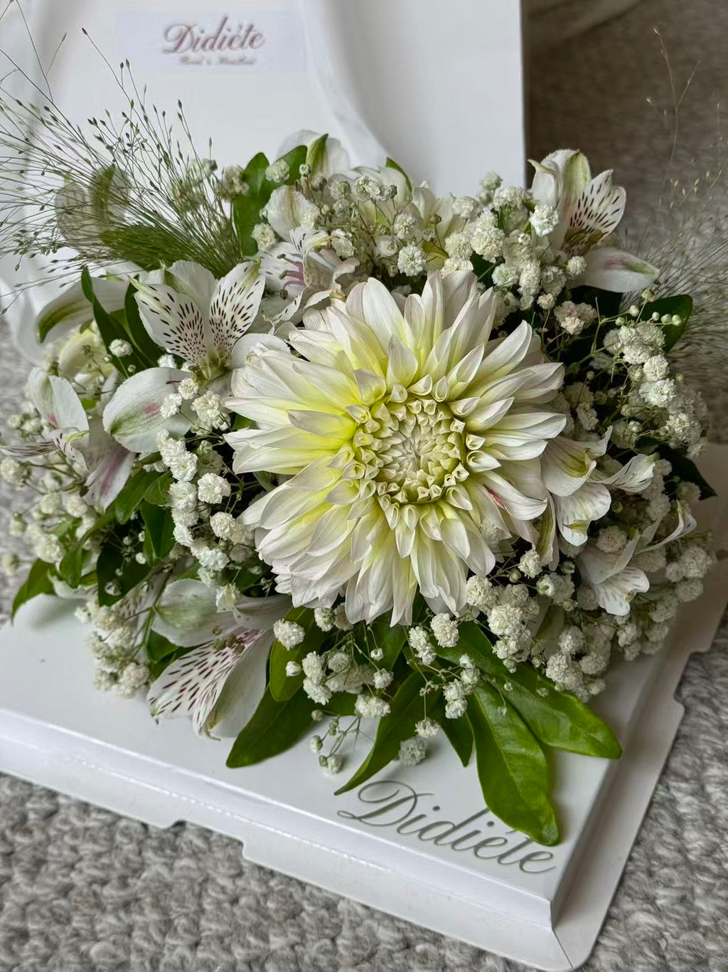 Snowlight Bloom Box