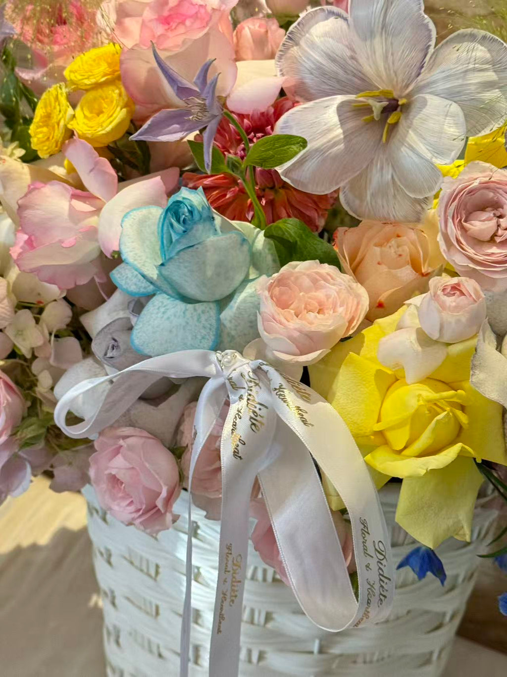 Pastel Bloom Symphony