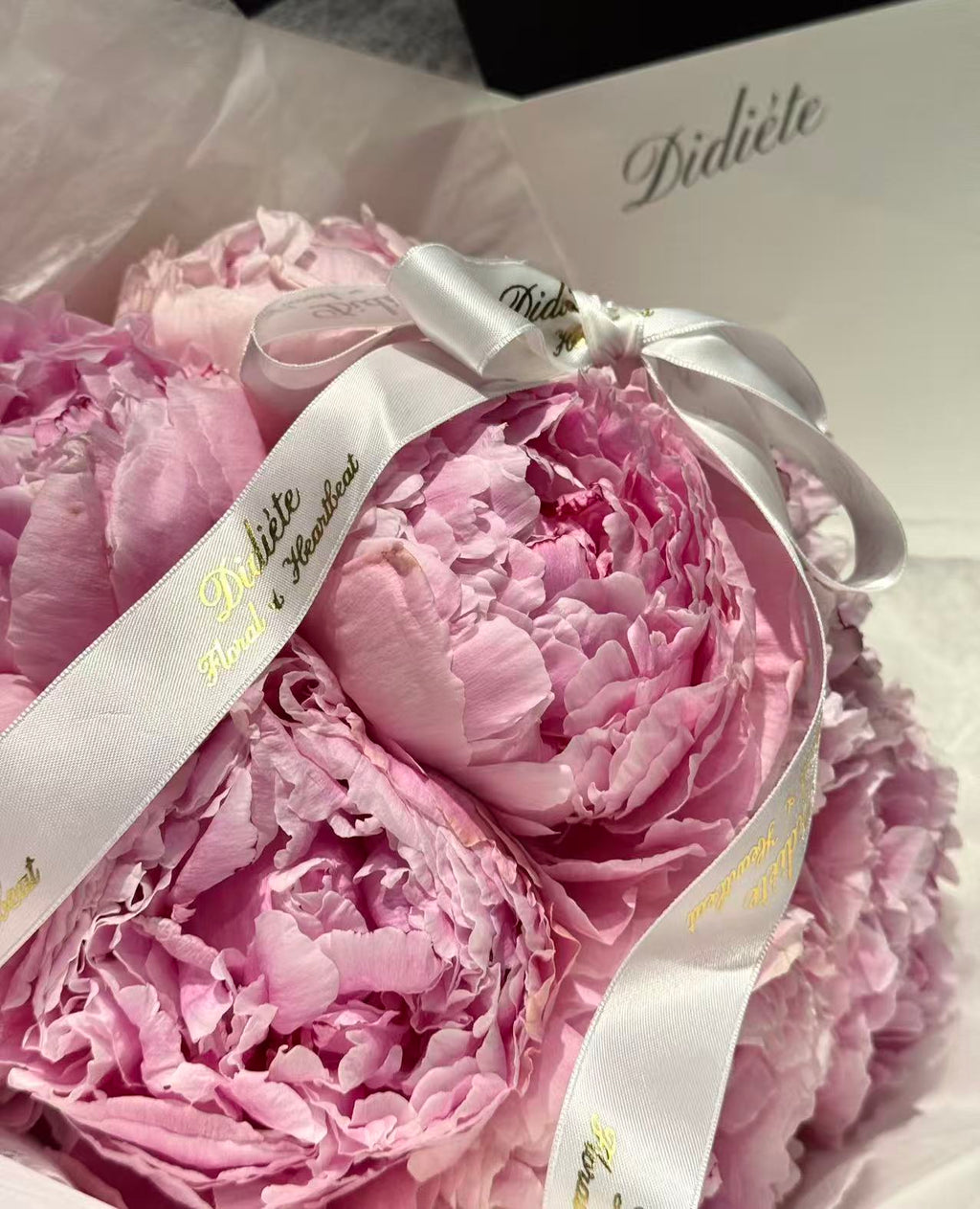 Peony Pink Kiss