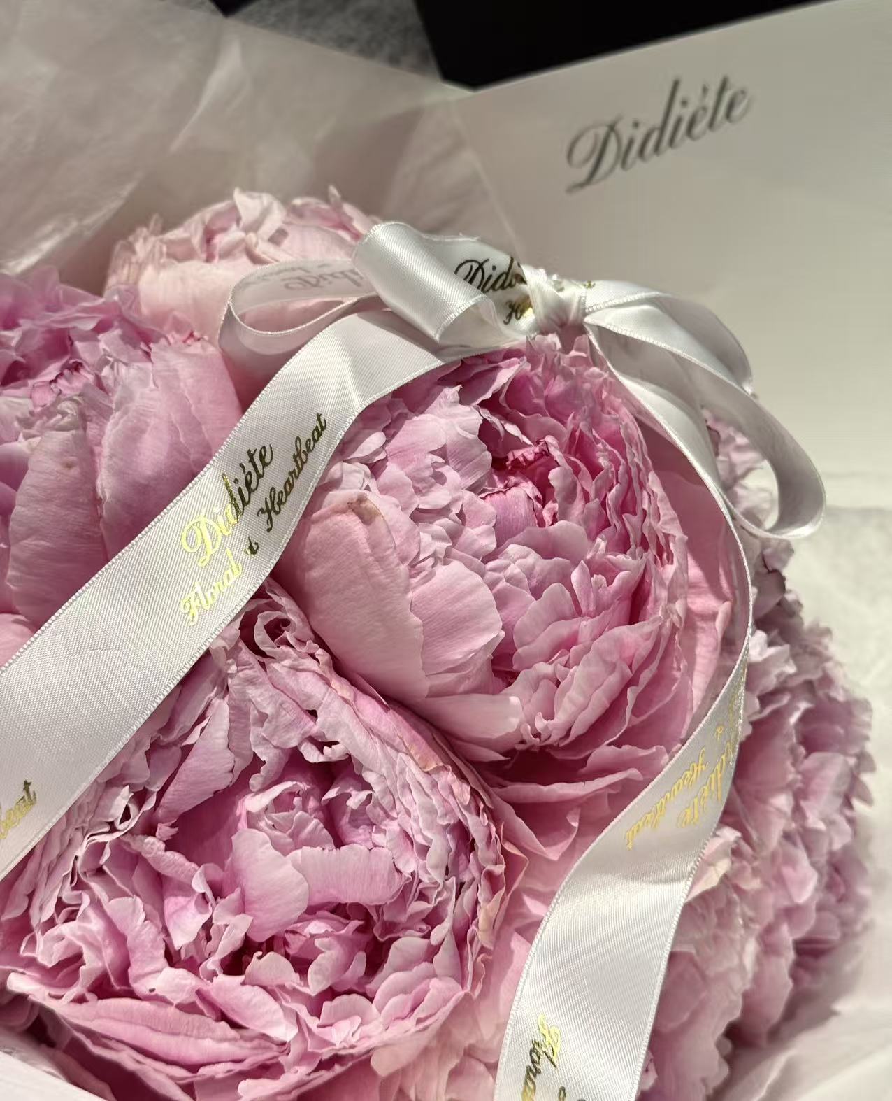 Peony Pink Kiss
