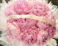 Pink Peony Reverie