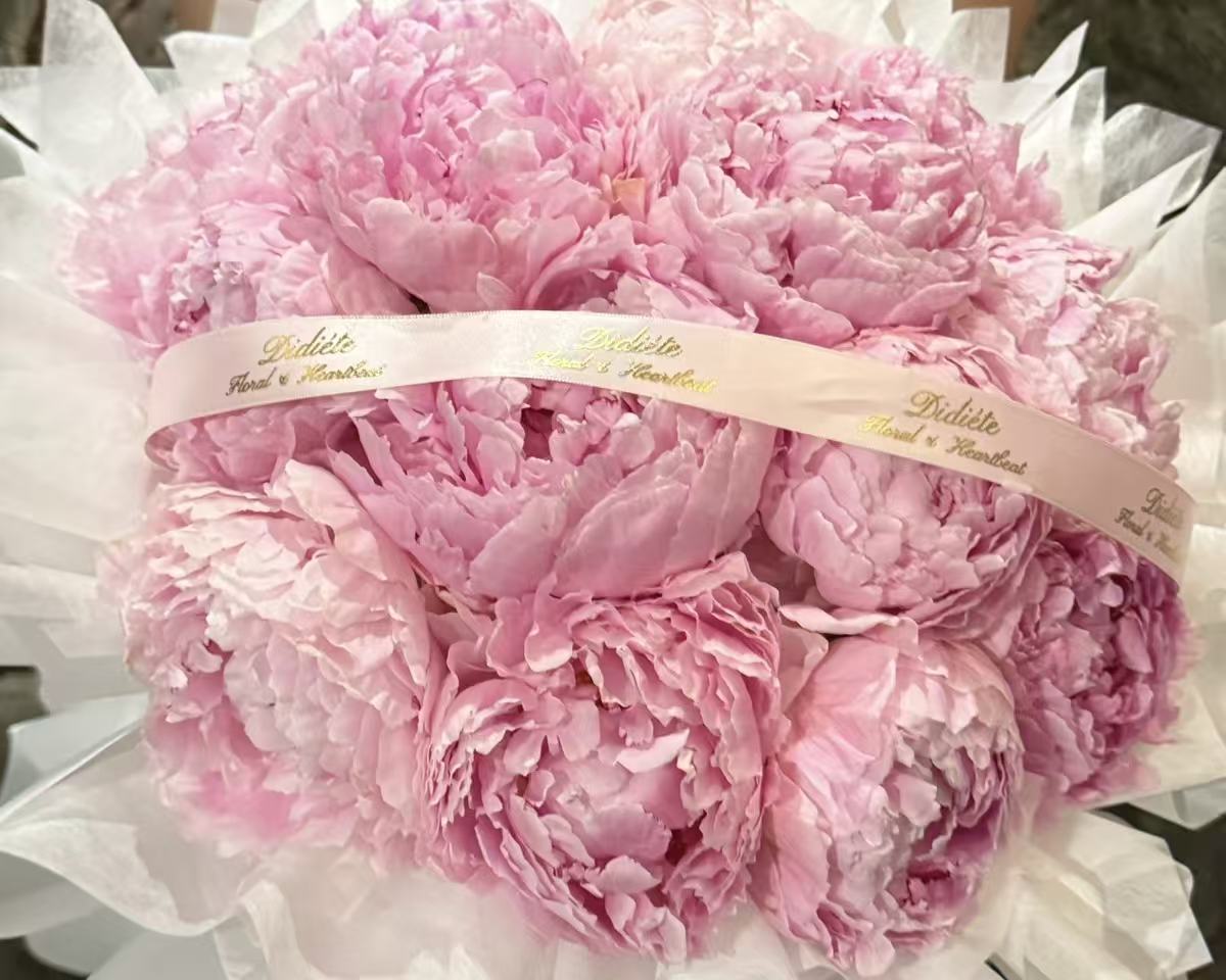 Pink Peony Reverie