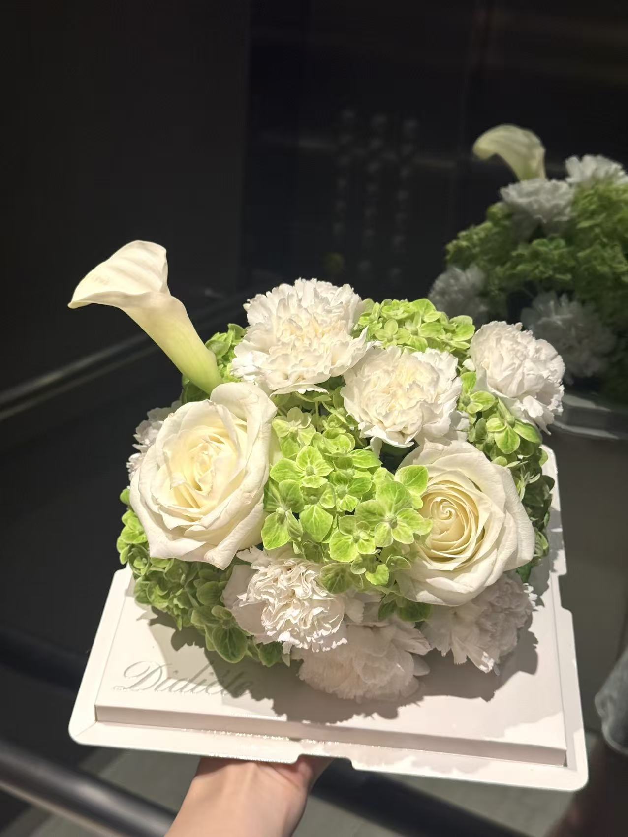 Ivory Green Harmony